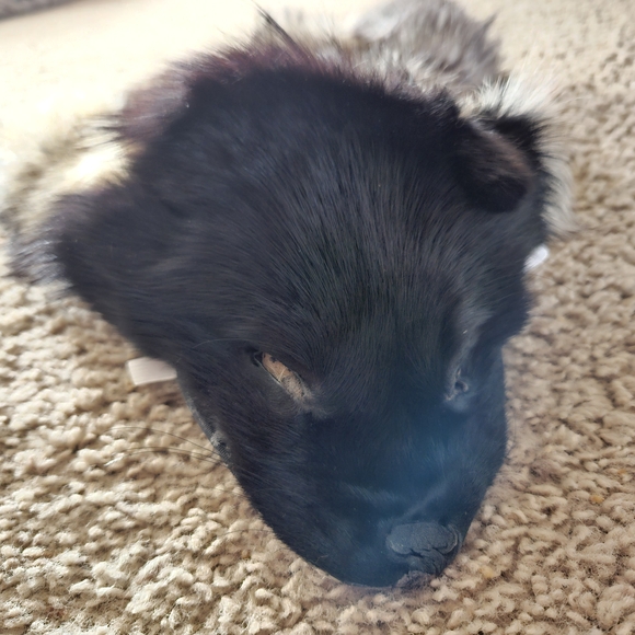 Deluxe Faux Fur Ankle/ Real Fur For All Other Parts Viking Costume Women - Picture 10 of 11